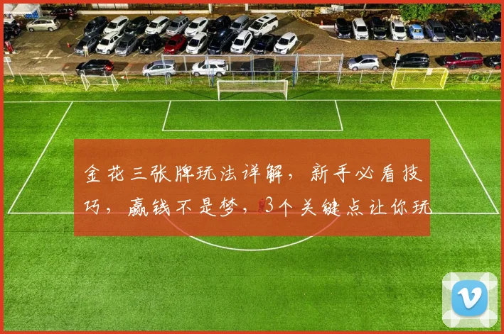 金花三张牌玩法详解，新手必看技巧，赢钱不是梦，3个关键点让你玩转牌局