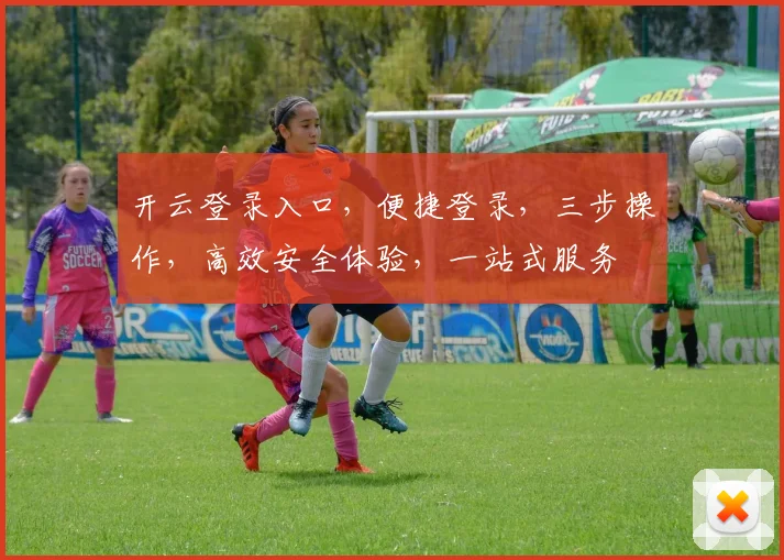 开云登录入口，便捷登录，三步操作，高效安全体验，一站式服务