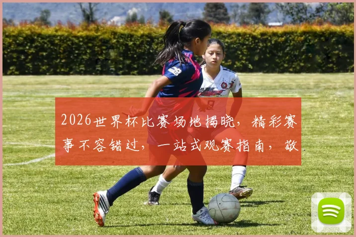2026世界杯比赛场地揭晓，精彩赛事不容错过，一站式观赛指南，敬请关注