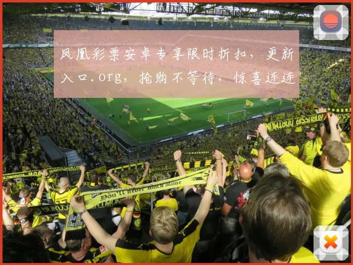 凤凰彩票安卓专享限时折扣，更新入口.org，抢购不等待，惊喜连连中