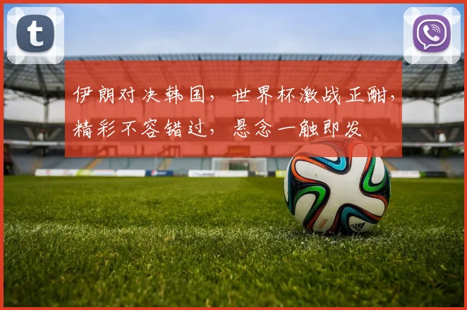 伊朗对决韩国，世界杯激战正酣，精彩不容错过，悬念一触即发